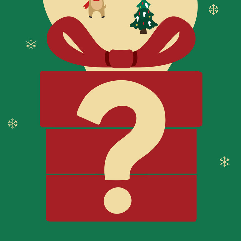 HomeTop Women's Christmas Sock Blind Box for Holiday Gift