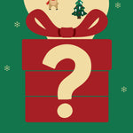 HomeTop Women's Christmas Sock Blind Box for Holiday Gift